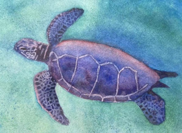 sea turtle by Audrey